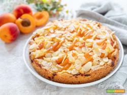 Torta alle albicocche e mandorle
