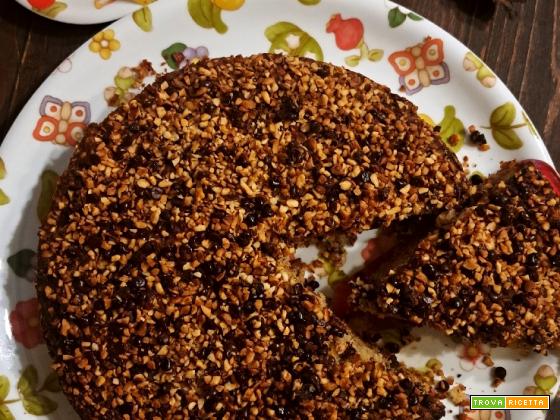 Torta alle nocciole e gocce di cioccolato