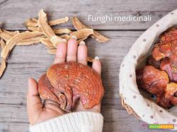 Funghi Medicina in Cucina