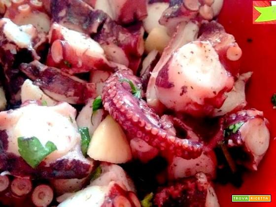 Polpo in insalata, la ricetta per farlo venire tenero