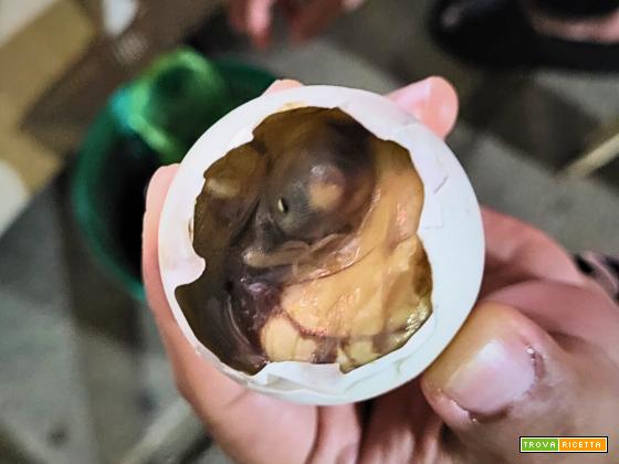 Balut uovo pulcino: il misterioso street food delle Filippine. In cosa consiste