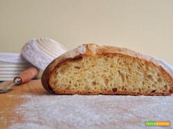 Pane di semola di grano duro
