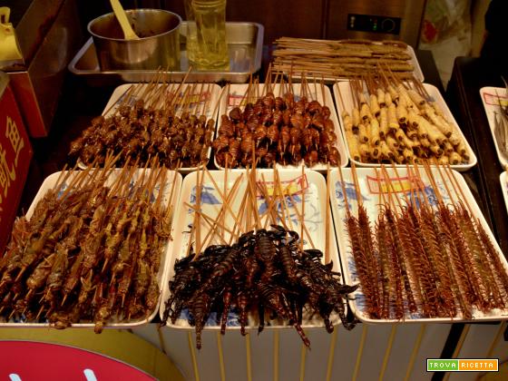 Insetti fritti: il Superfood croccante che sta conquistando il mondo