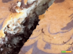 Torta bicolore facilissima!