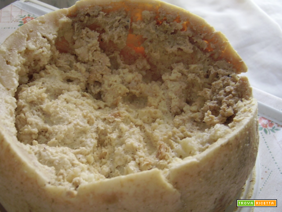 Casu Marzu: il formaggio con i vermi proibito che sfida i confini del gusto