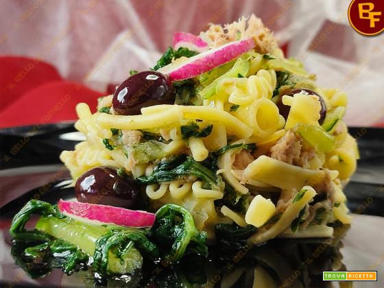 Pasta con Cicoria Catalogna Tonno Olive e Colatura di Alici