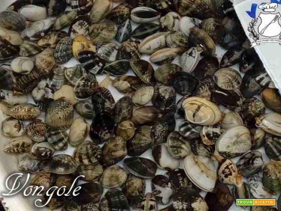 Ricette con le vongole