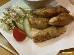 Toriwaka, gyoza con pelle di pollo