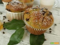 Muffin all’avocado e gocce di cioccolato